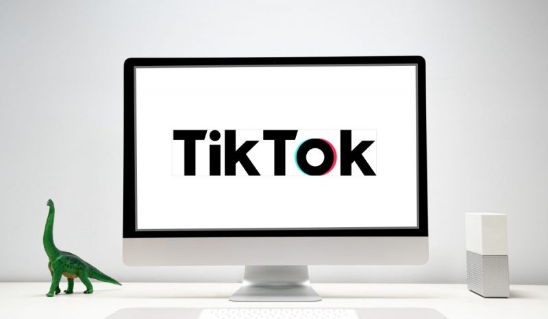 Descubre el perfil de audiencia de TikTok y analiza si tu empresa debe estar en este canal