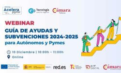 Kit Digital: Guía de Ayudas y Subvenciones 2024-2025 para Autónomos y Pymes