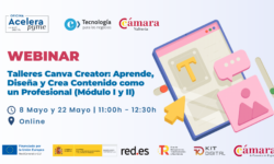 Talleres Canva Creator: Aprende, Diseña y Crea Contenido como un Profesional. Módulo II