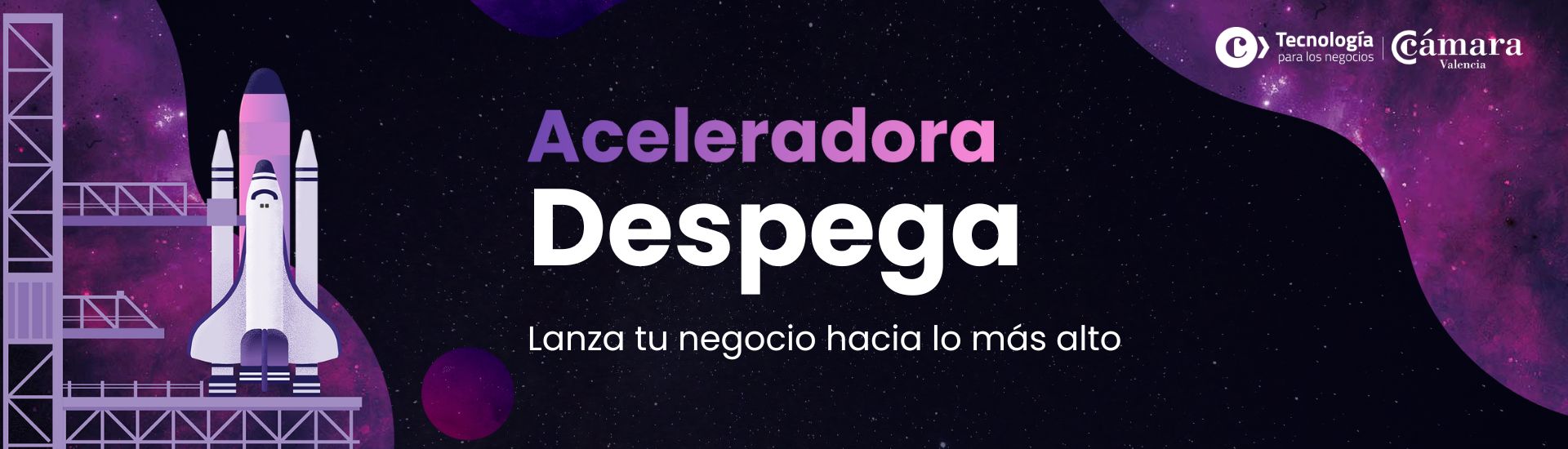 Aceleradora Despega