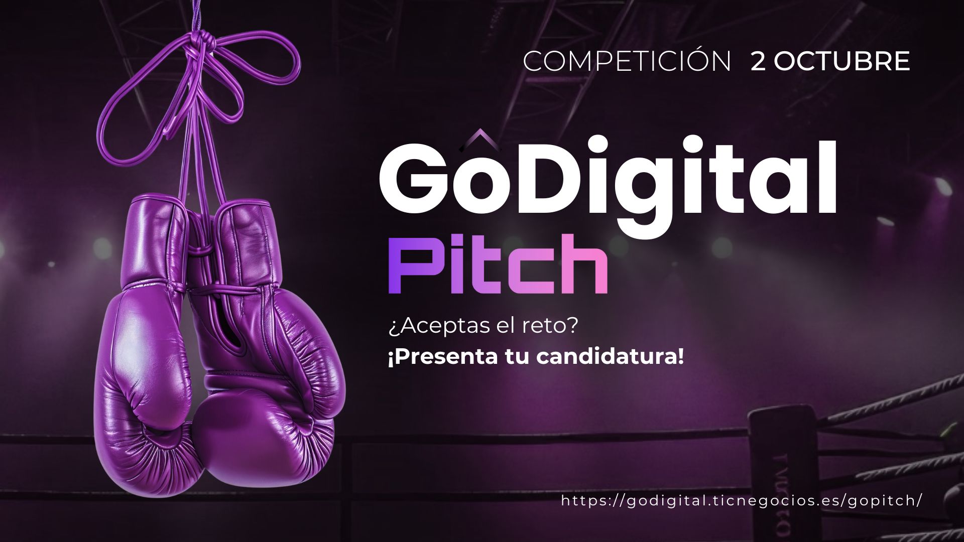GoPitch 2025