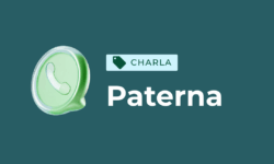 Emprendimiento mediante asistentes de WhatsApp + IA seguros