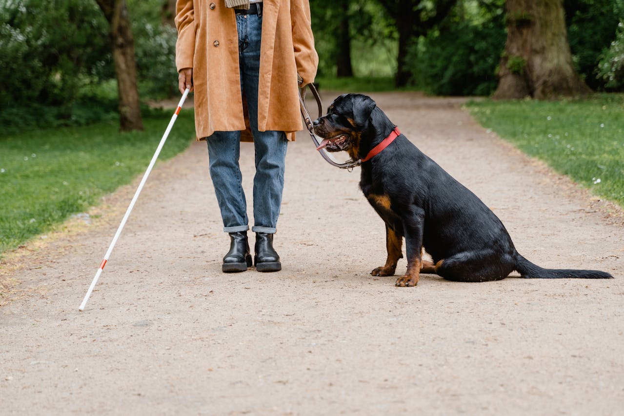 persona-invidente-con-perro-guia-incluida-en-la-ley-de-accesibilidad