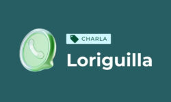 Cómo usar WhatsApp al 100% de modo seguro