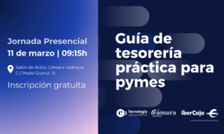 Guía de tesorería práctica para pymes