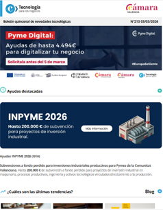 Ayudas para digitalizar tu negocio. Boletín 213